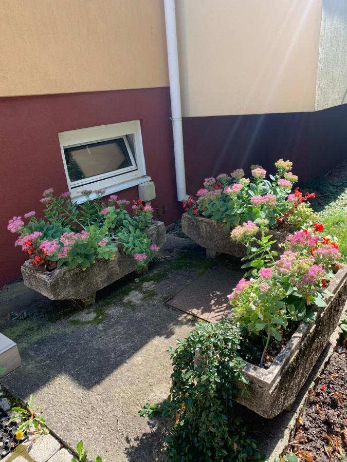 Konig Apartman Heviz Exterior photo